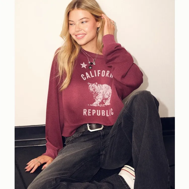 Hollister保暖抓绒美式印花套头圆领卫衣26春新款女装352-6077