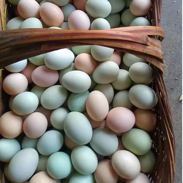 50枚装正宗土鸡蛋新鲜农家散养谷物喂养优质草鸡蛋笨鸡蛋现捡现发