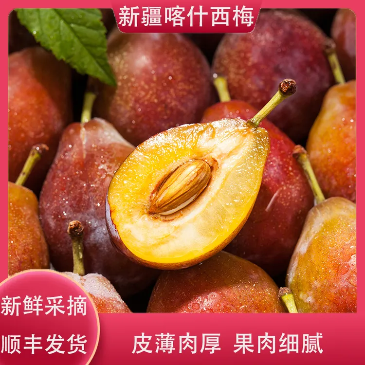 新疆喀什西梅新鲜采摘应季水果顺丰快递直发单果16-22g