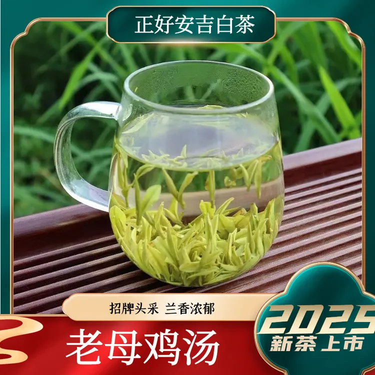 5号【老母鸡汤】2025安吉白茶溪龙正好核心产地产区明前纯正品质