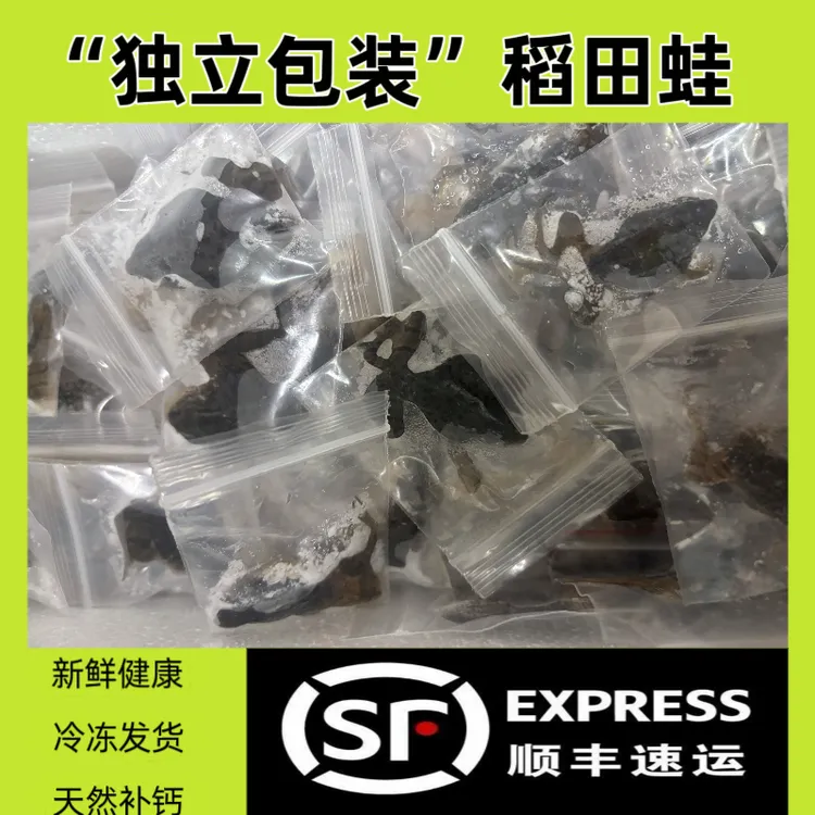 （独立包装）稻田蛙，雷龙 龙鱼 肉食性宠物饲料冷冻发货
