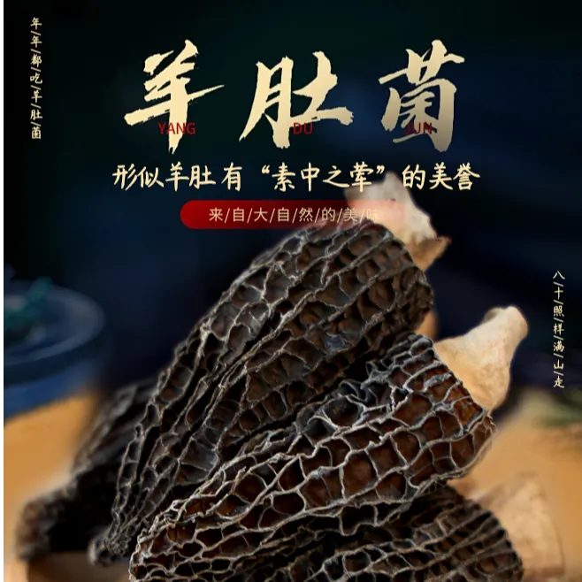 【干羊肚菌】2025年头茬新货 精品菇 炖汤爆炒 营养美味
