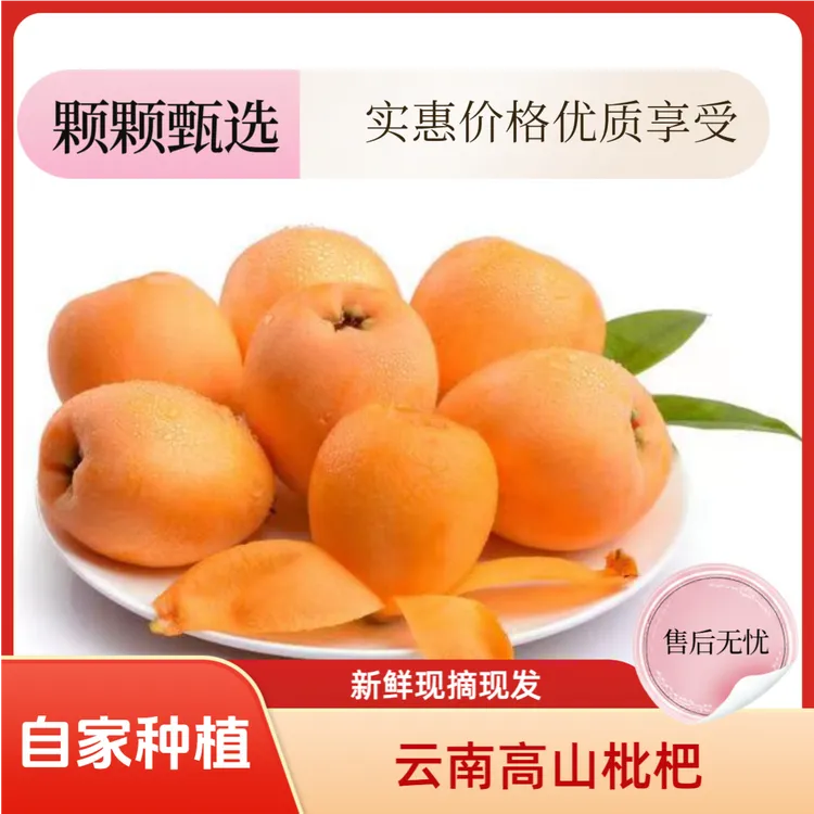 云南高山枇杷鲜甜 蒙自枇杷琵琶1-5斤新鲜枇杷水果现摘现发 包邮