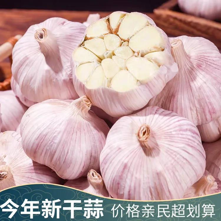 【新干蒜3斤】河南紫皮大蒜头干蒜批发精选优质干蒜便宜包邮大蒜头