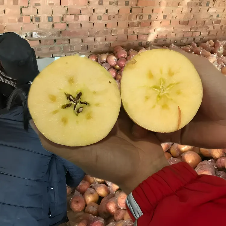 【酥脆甜坏果包赔】山西高海拔高成熟度冰糖心丑苹果水果净重≥9斤箱