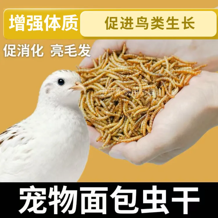 鹦鹉多种鸟类专用零食高蛋白质面包虫干营养丰富鹦鹉食粮