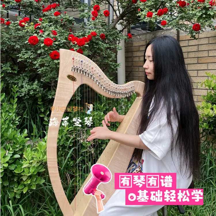 海蒂26弦落地款小竖琴 颜值美音色好