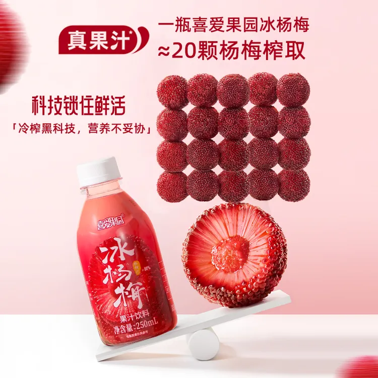 杨梅汁孕妇可用儿童酸甜爽口夏季果汁饮料0脂清爽饮料露营饮品