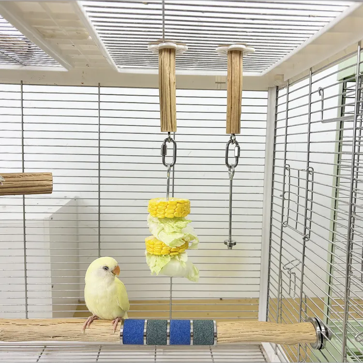 鸟用不锈钢水果叉挂钩鹦鹉喂食器鸟笼绣眼鸟果叉专用水果夹水果棒