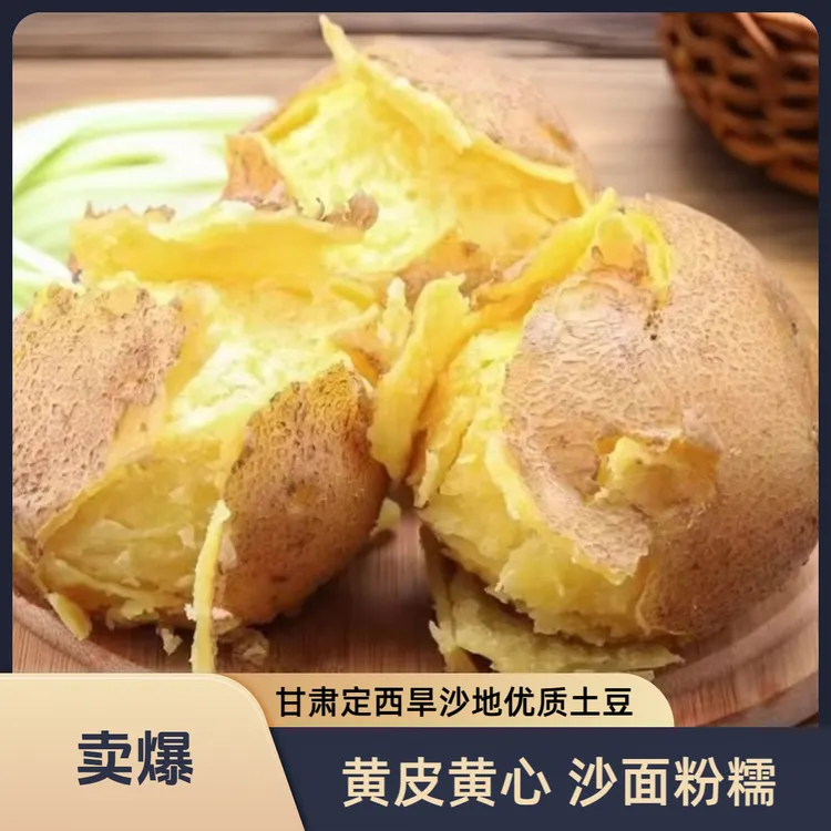 中秋福利甘肃定西黄心土豆旱沙地马铃薯口感沙面开花洋芋当季新鲜
