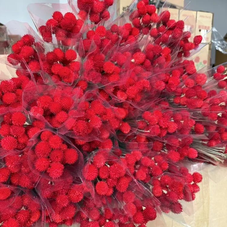 草莓果干花永生千日红真花花束客厅装饰摆件手工diy制作礼物材料