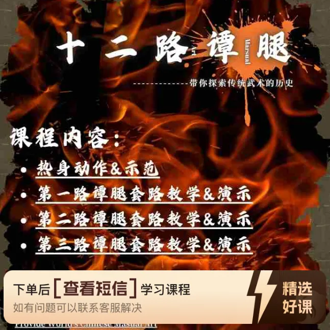 "新视野"十二路谭腿实战&套路教学课程（留意短信解锁课程）