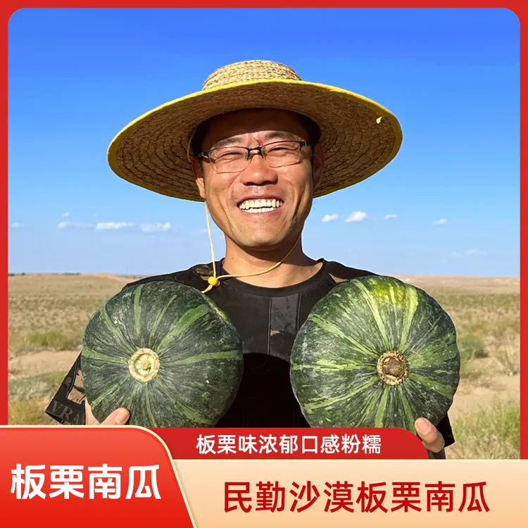 民勤沙漠板栗南瓜新鲜应季板栗味老南瓜粉糯干面净含量4.5斤8斤