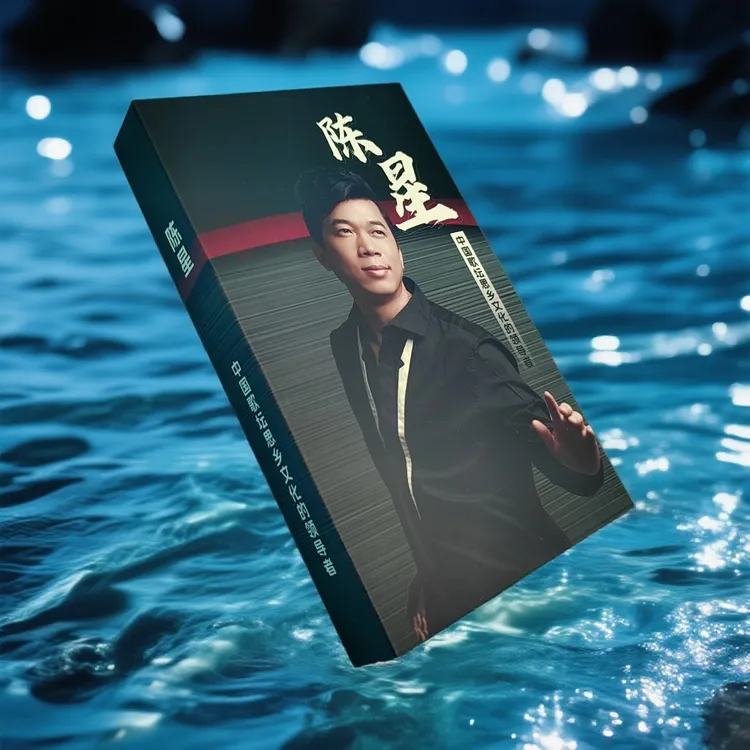 陈星高端精选车载u盘伤感流浪歌专辑