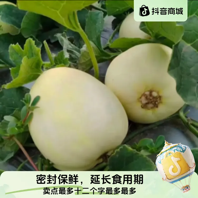 天水秦安本地黄土高山生态农业香瓜产地直发新鲜脆甜网红水果