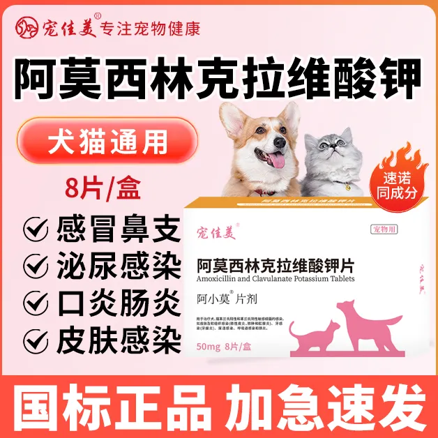 阿莫西林克拉维酸钾片速诺片猫咪狗消炎药感冒咳嗽猫鼻支尿血尿闭