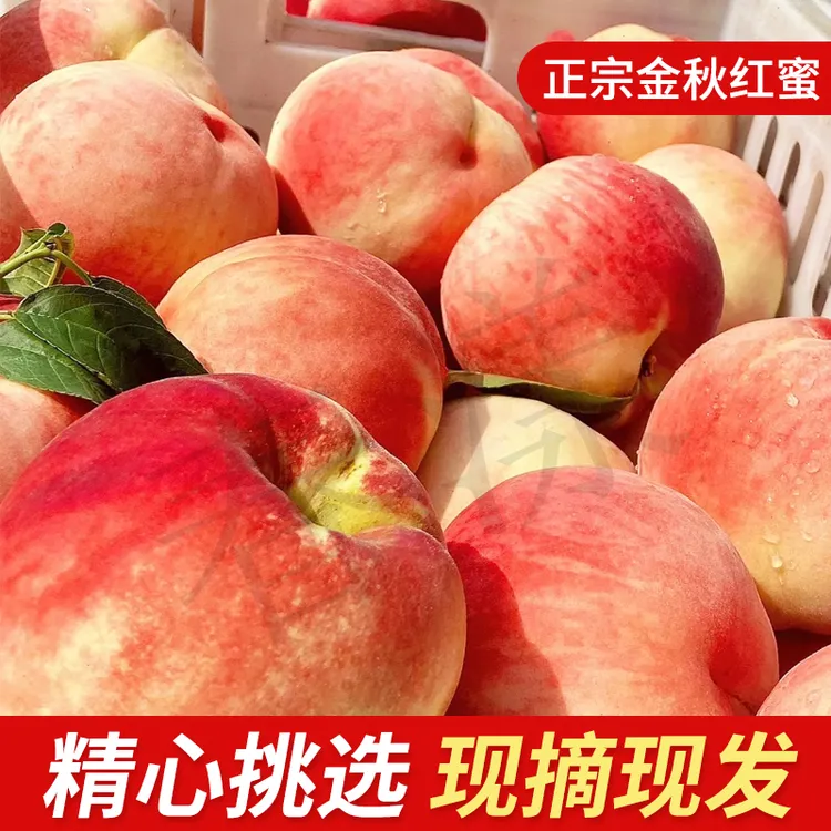 【产地直发】正宗山东蒙阴金秋红蜜桃新鲜现摘应季水果脆甜多汁2