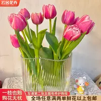 【云舍花卉】【方德】【草莓松饼】郁金香全场任意满两单及以上鲜花包邮