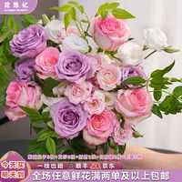 活动热卖『梦幻花园』成品发货 家用云南鲜切花 满两单鲜花顺丰京东 满三单鲜花送花瓶 直播次日达包邮