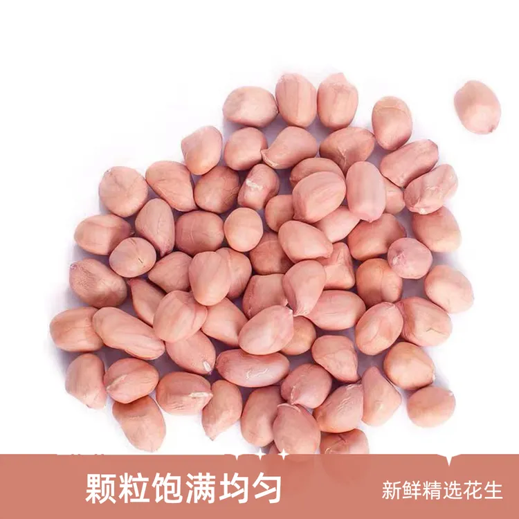 当季精选5斤生花生米新鲜食用榨油河南大颗粒花生米大白沙大大颗