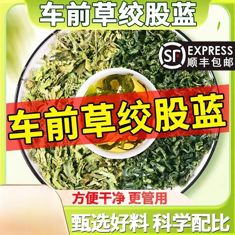 车前草绞股蓝茶 日本退休相扑生活常备茶 茶包泡水喝中药材原料