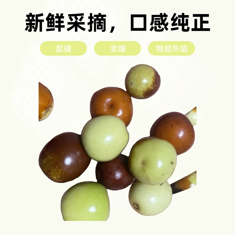 酸枣新鲜农村种植小酸枣酸爽水果现摘现发枣小零食嫁接繁殖大枣酸