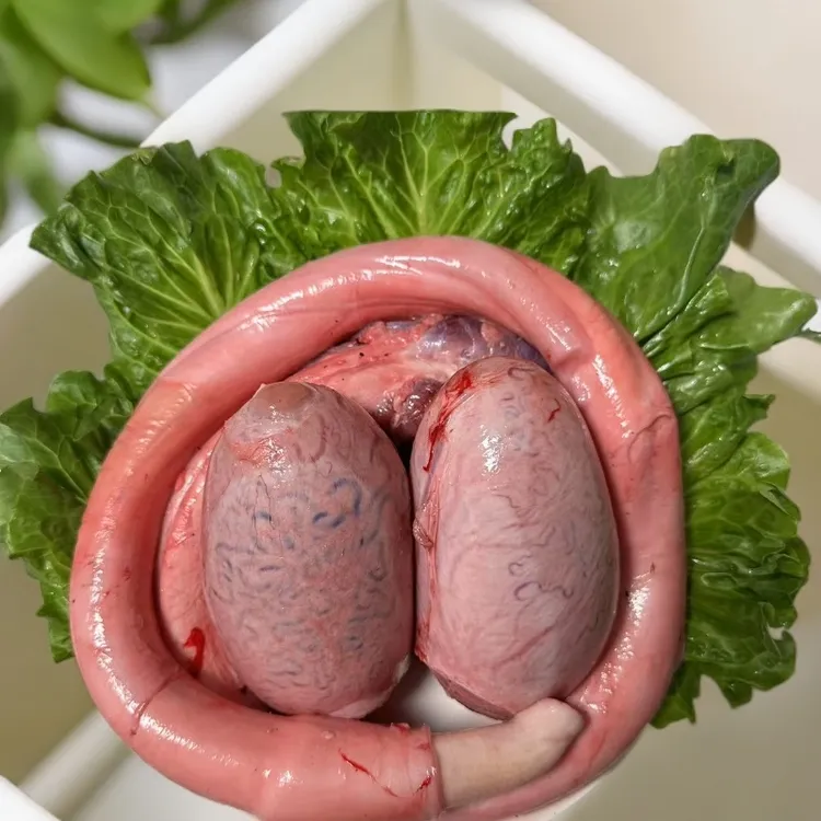 新鲜牛三宝整全套含牛鞭牛宝空运保密包邮