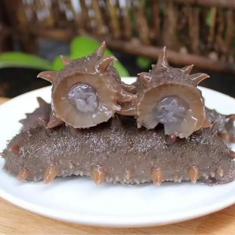 （郑姐家）即食海参大连正宗海参辽参开袋即食