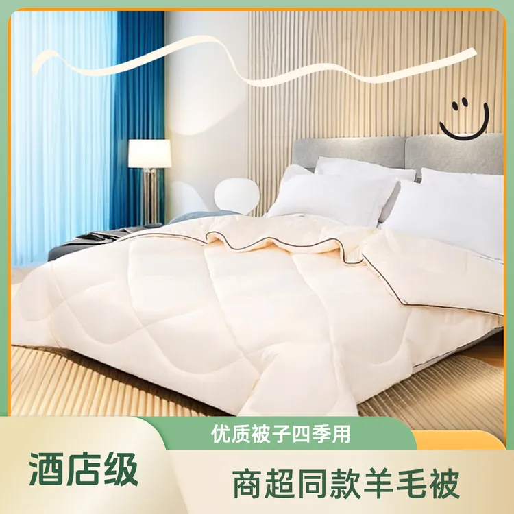 白色丝绸纯羊毛填充学生被子简约设计全年适用被子加厚被芯羊毛被