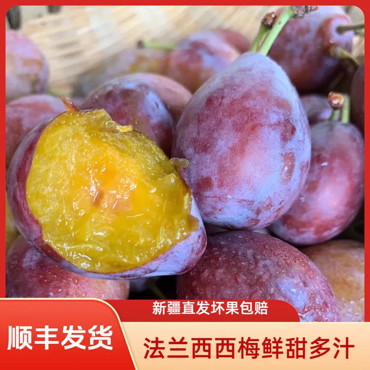 新疆法兰西西梅新鲜应季现摘大西梅产地直发酸甜可口的水果