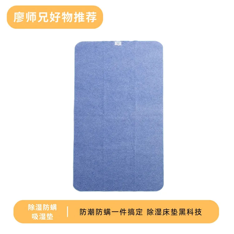 日本帝人除湿防螨吸湿垫学生宿舍榻榻米床垫去湿气折叠家用隔潮垫