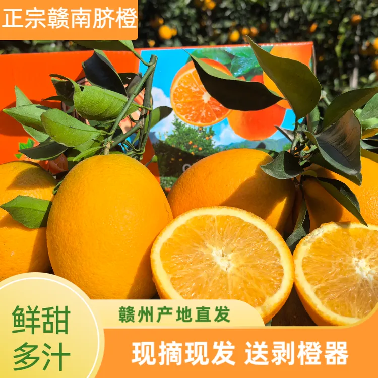 【京东】赣南脐橙应季水果新鲜橙子产地直发特产好吃大果江西橙子