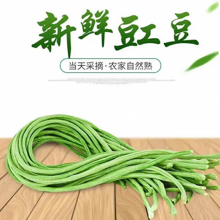 【现摘现发】新鲜嫩长豆角现摘现发可做泡菜原料农户自种脆嫩豆角
