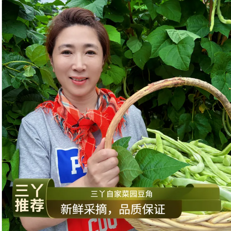 东北新现现摘白芸豆白不老豆角无筋脆嫩应季豆角顺丰包邮
