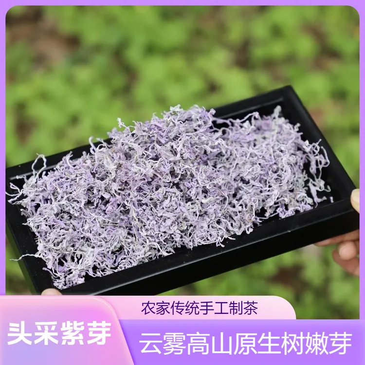 ZM01古莓茶之乡湘西永顺开春头采嫩朵芽紫金莓茶藤茶农家手工茶