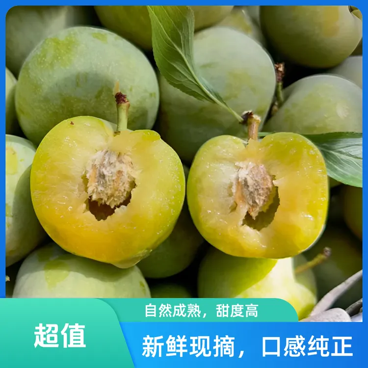 四川达州新鲜脱骨李青脆李应季水果苹果李皮薄肉厚纯甜口感现摘