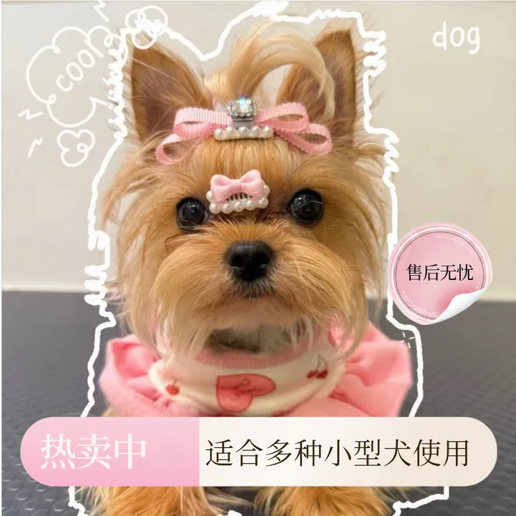 手工迷你碎发宠物蝴蝶结bb夹猫咪头饰约克夏马尔济斯比熊狗狗适用