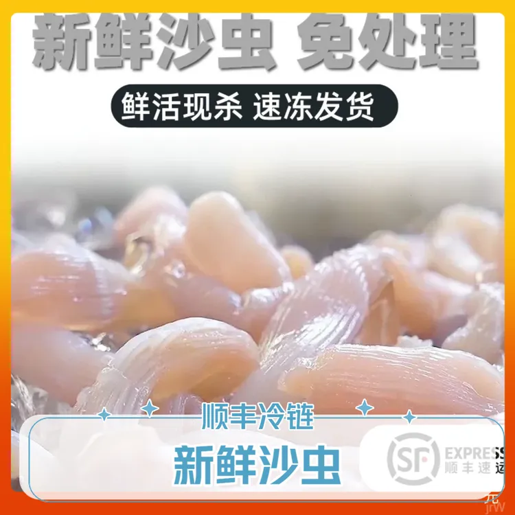 沙虫海肠子新鲜处理去沙去内脏煲汤美味顺丰冷链配送
