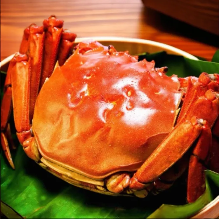 精品鲜活大闸蟹 公4两5只，母3两5只 鲜活捕捞 冷链发货