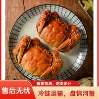盘锦河蟹鲜活稻田蟹1-1.3两规格母蟹22-25只 2.5斤装