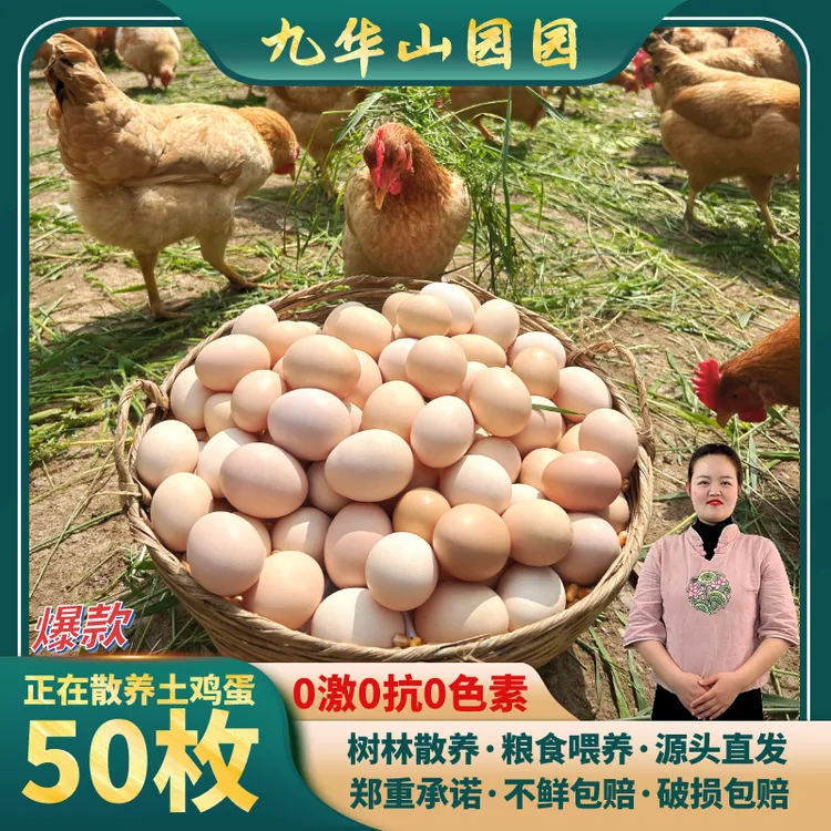 皖南九华山树林竹林农家散养土鸡蛋50枚柴鸡蛋农家散养正宗土鸡蛋商品图