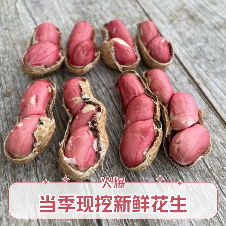 【水果花生】2025当季现挖新鲜带壳湿水果甜农家自种蔬菜花生
