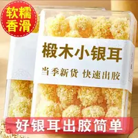 椴木银耳原产地直发庄鑫椴木小银耳嘎嘎糯（农户直发）