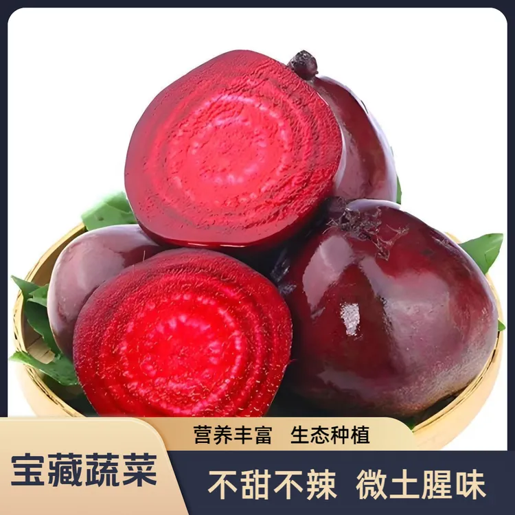 荷兰进口品种新鲜甜菜根血色营养丰富宝藏蔬菜欧洲灵芝非甜菜根粉