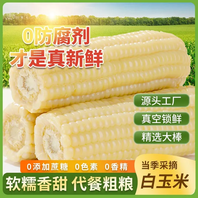 【300g*10根6斤】当季白玉米糯玉米新鲜真空黏糯白苞米低健身早餐脂