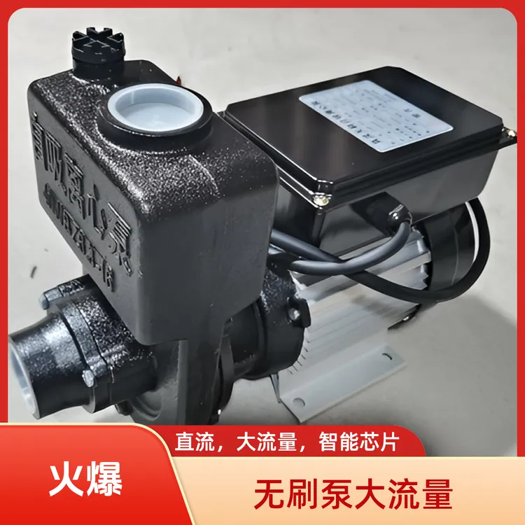 直流无刷自吸离心泵环卫车搅拌车水泵24V48v60V72V大流量洒水车泵