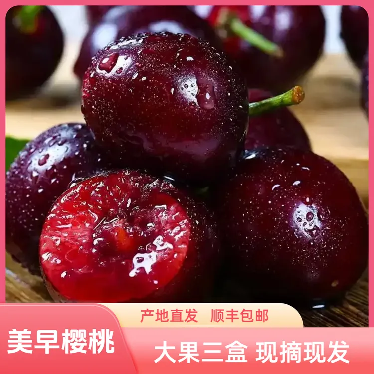 【大果盒装】大连美早樱桃顺丰空运大果2J4盒2.0斤