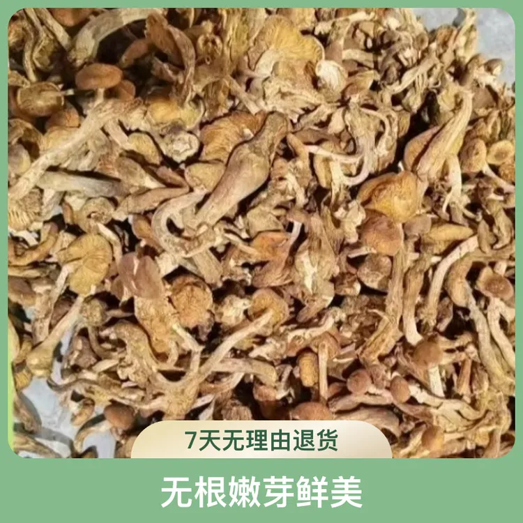 完达山榛蘑手选干货无根【拍一单送一包木耳】