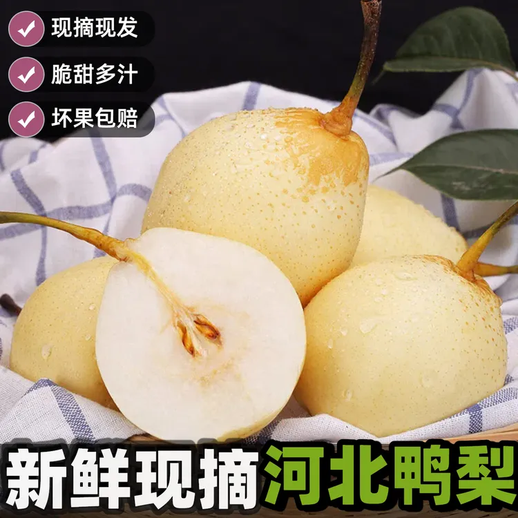 【顺丰可选】河北水晶鸭梨中秋好礼酥脆当季新鲜水果产地直发雪梨子