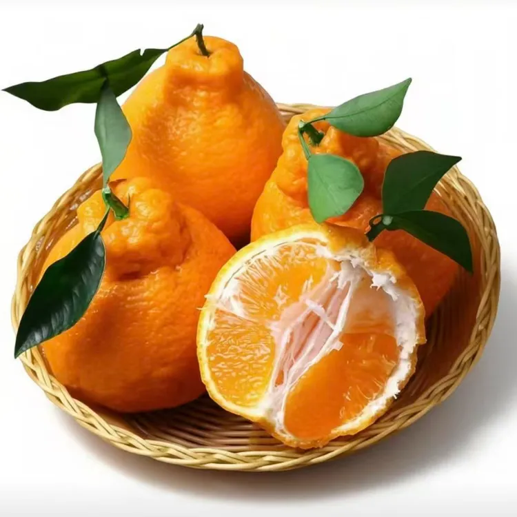 【东三省包邮】正宗W四川耙耙柑橘子新鲜水果柑橘子当季自然成熟